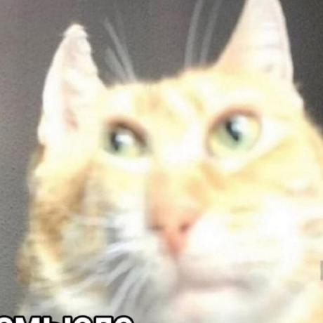 Alexnsidorov Alex Sidorov Github - Premium City Pattern - 4K