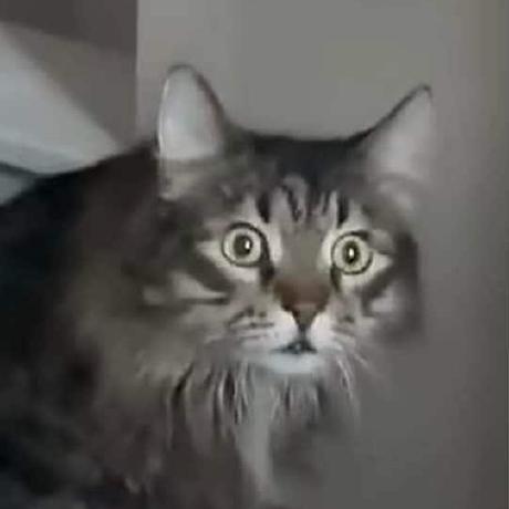 Panos20102k Panos Github - Space Photos - Creative HD Collection