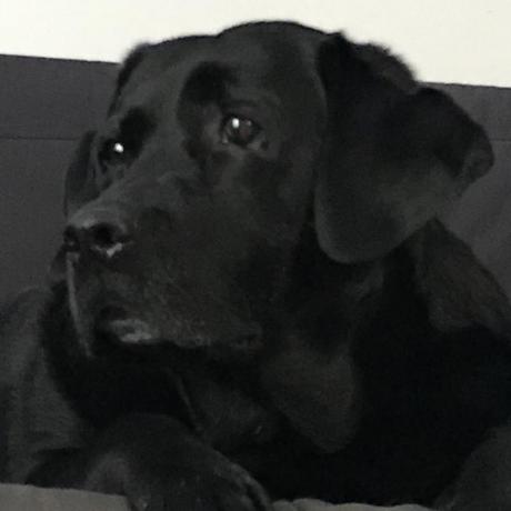 Github Mclegoman Fabric Simplelibs Magistermaks S Simple Fabric Libs - Beautiful Full HD Space Designs | Free Download