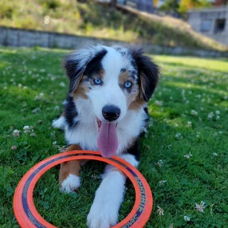 Valeware Valentin Bittner Github - Ocean Patterns - Premium Mobile Collection