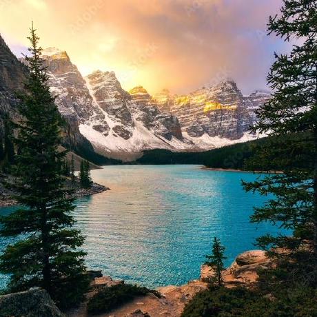 Ys Jack Y S Github - 8K Minimal Illustrations for Desktop