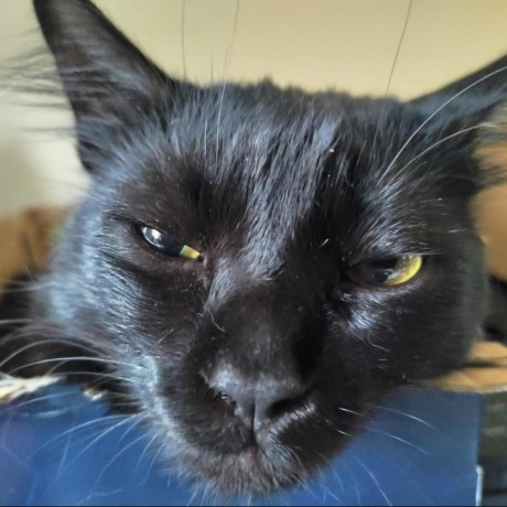 Github Cppbrasil Material De Aprendizado Cole O De Materiais E - Light Texture Collection - Retina Quality