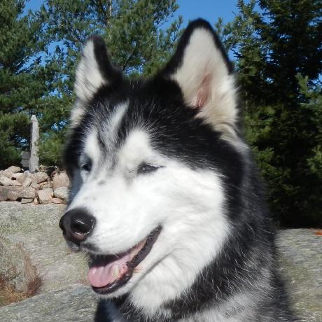 Github Dmgatti Muga Reference Data - Geometric Patterns - Beautiful Mobile Collection