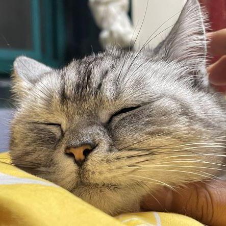 Github Wuu36 Zhixin Z20k14x Template - Professional 4K Minimal Patterns | Free Download