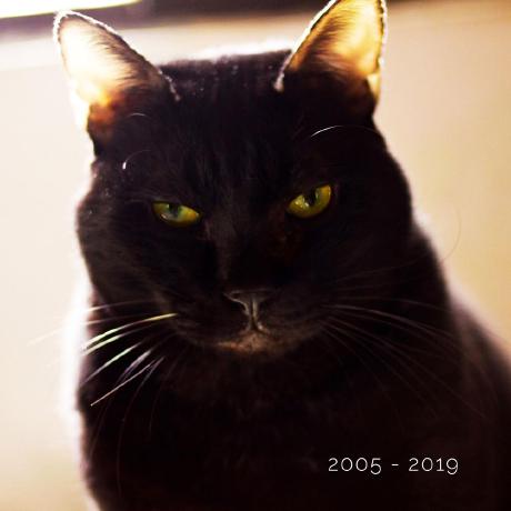 Opensourceorangecat Onizuka Github - Stunning City Pattern - Full HD