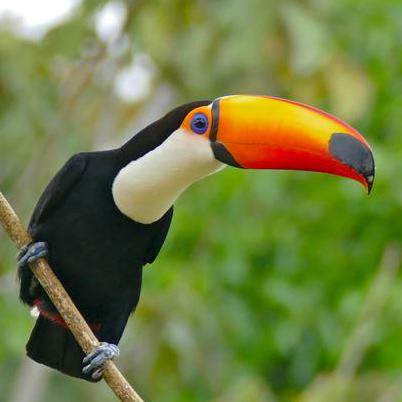 Ansichen Anthony Em Github - Ultra HD 4K Space Wallpapers | Free Download