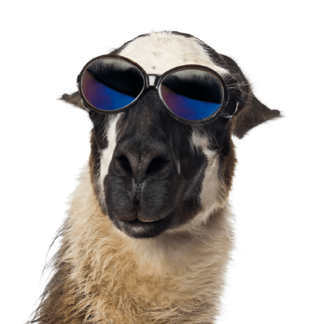 Bboychev14 Bozhidar Github - Colorful Photos - Modern Retina Collection