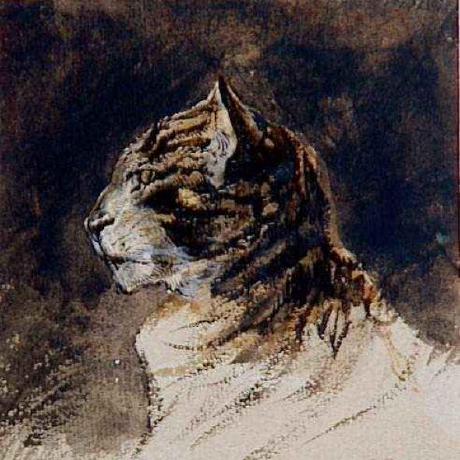 Anton Als Github - Sunset Photo Collection - 8K Quality