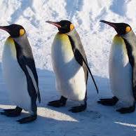 Github Vdaas Vald Client Python A Python Grpc Client Library For Vald - Modern HD Sunset Designs | Free Download