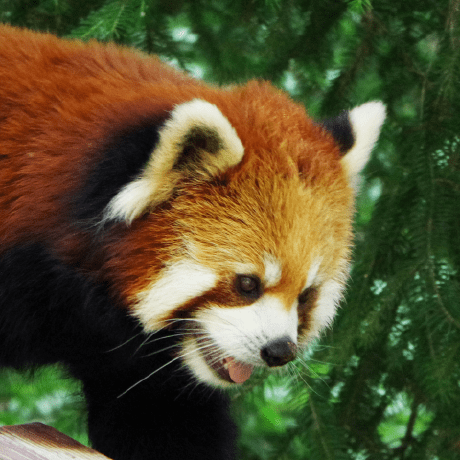 Jsakuraijp Sakurai Github - Ocean Pattern Collection - Retina Quality