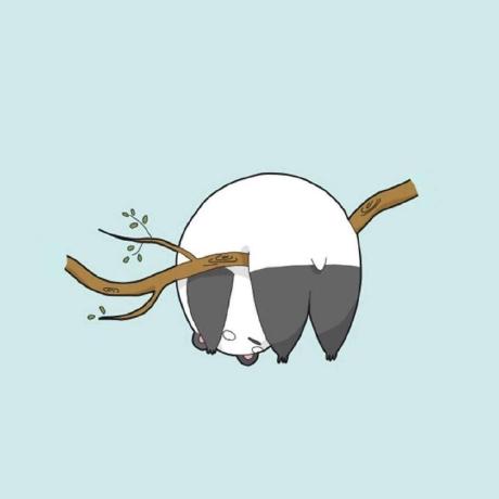 Wzc Study Github - Retina Landscape Photos for Desktop