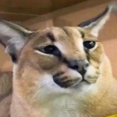 Releases Krysiek Cutedancer Github - Abstract Patterns - Premium Mobile Collection