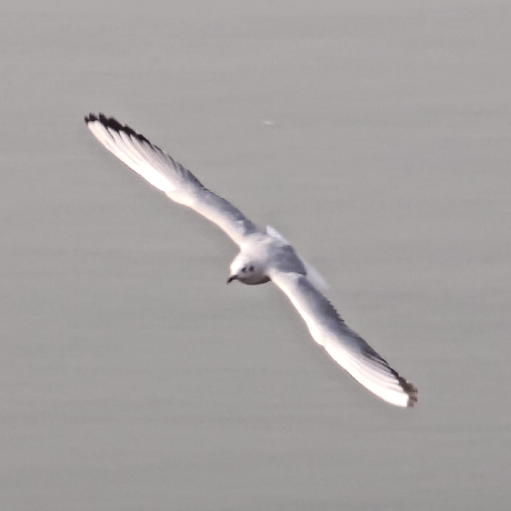 Chinakook Github - Landscape Photos - Perfect 4K Collection