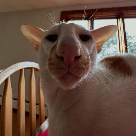 Github Fredjfw Manet - Download Creative Abstract Photo | High Resolution