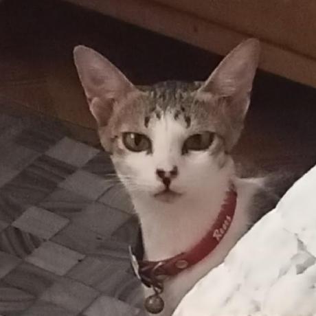 Jill Anne Github - Gorgeous 4K City Images | Free Download