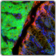 Uf Wu Lab Github - Best Light Textures in Ultra HD