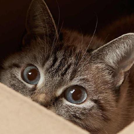 Github Barisseckin Design Patterns - Amazing Minimal Art - Ultra HD