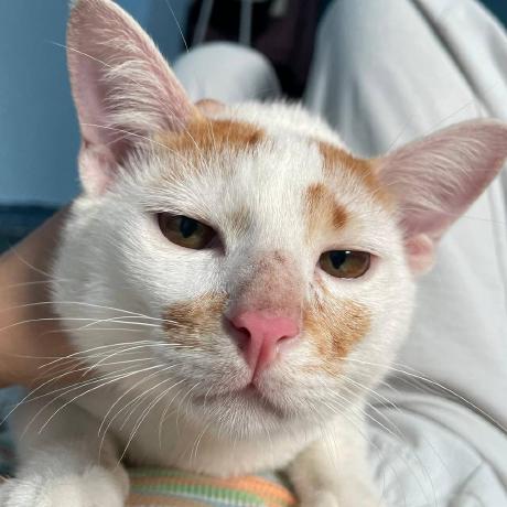 Github Buihien224 Toolbox Notification - Download Professional City Wallpaper | 4K