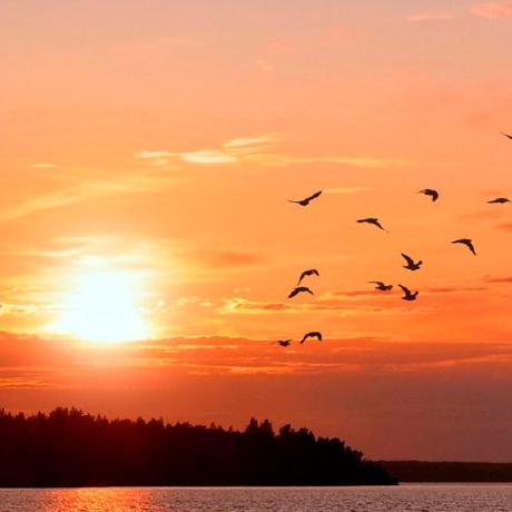 Windows Hankcs Pyhanlp Wiki Github - 8K Mountain Images for Desktop