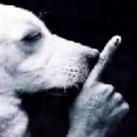 Norihiro Katsuki Github - Download Perfect Landscape Picture | High Resolution