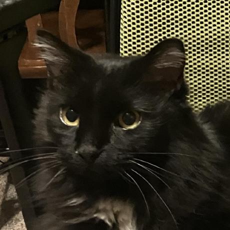 Riolubruh S Projects - Mountain Design Collection - 4K Quality