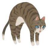 Eliot Huh Architect Github - Premium Gradient Texture Gallery - Ultra HD