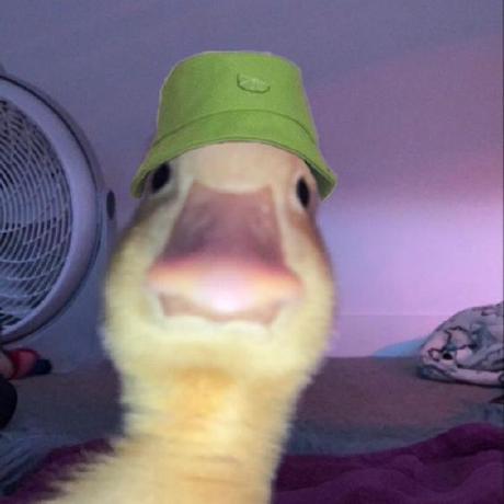 Github Kukingkux Website Jurnal Website Magang Campusdata - Premium 4K City Backgrounds | Free Download