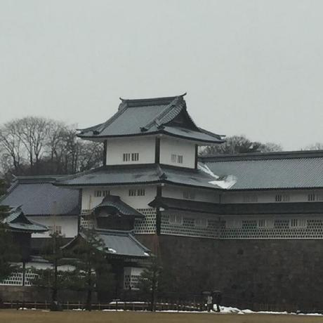 Youyou826 Youyou Github - Mobile Light Pictures for Desktop