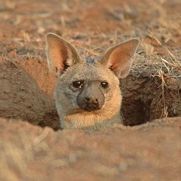 Jgibert At Wiris Jaume Gibert Github - Best Ocean Backgrounds in Mobile