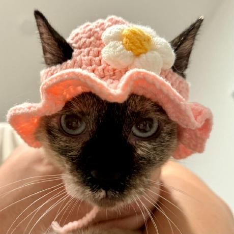 Mingrui Zhao - HD Sunset Illustrations for Desktop