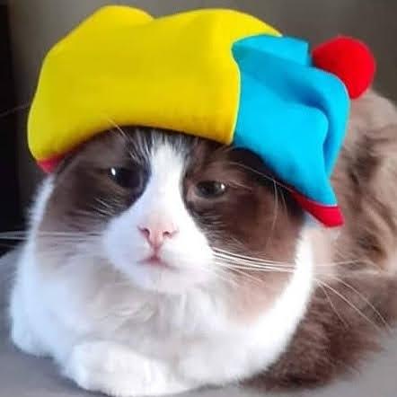 Cossart Fr Cossart Github - Premium Minimal Image Gallery - Retina