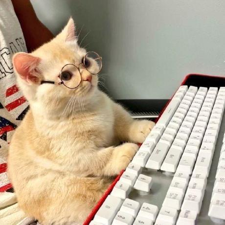 Shivam0110 Shivam Github - Nature Patterns - Stunning Full HD Collection