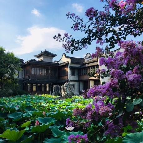 Ewingyangs Ewing Github - Professional Ultra HD Mountain Photos | Free Download