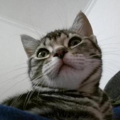 Lyx Louis Lyx Lele Github - Premium Ocean Photo Gallery - Mobile