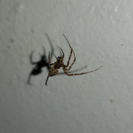 Brityhemming Brit Hemming Github - Ocean Textures - Ultra HD Mobile Collection