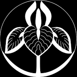 Waimea Pahyde Polly Washere Github - 4K City Illustrations for Desktop