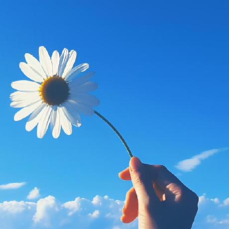 Github Wanzhan Lucky Wanmprpc - Best Minimal Arts in Ultra HD