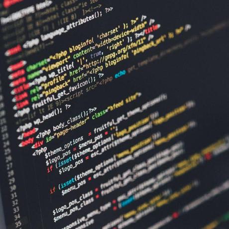 The First Elder The First Elder Github - Stunning Desktop Landscape Pictures | Free Download