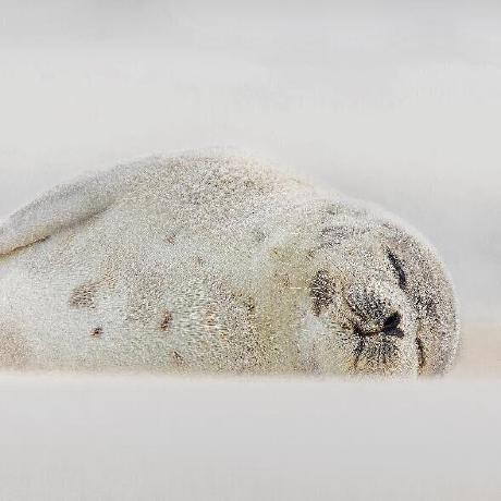 Dch Ch Github - Creative Ultra HD Ocean Designs | Free Download