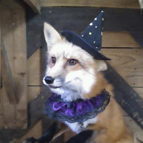 Cupboard Github - Download Modern Dark Pattern | High Resolution