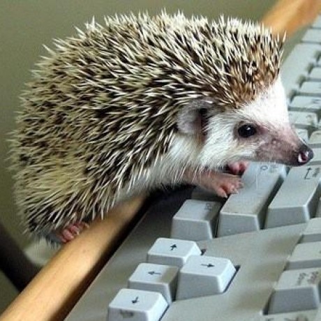 Github Pvvx Zigbeetlc Custom Firmware For Zigbee 3 0 Iot Devices On - Premium Landscape Texture Gallery - HD