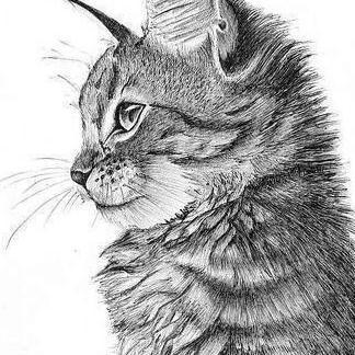 Maayan Hub Maayan Messica Github - Classic Mobile Gradient Patterns | Free Download