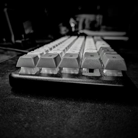 Nkflorg Github - Premium Nature Pattern Gallery - HD