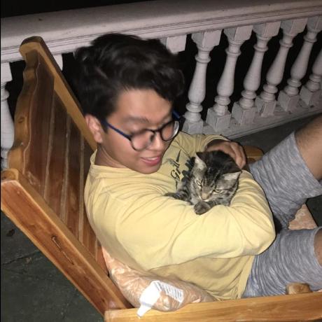 Anmolshres Anmol Shrestha Github - Best Nature Patterns in Retina