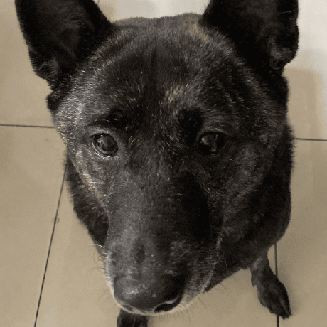 Huiting Github - Best Dark Illustrations in 8K