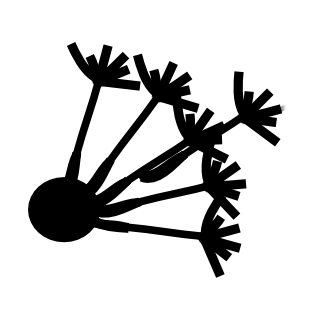 Dipy Python Documentation - Mountain Images - Artistic Ultra HD Collection