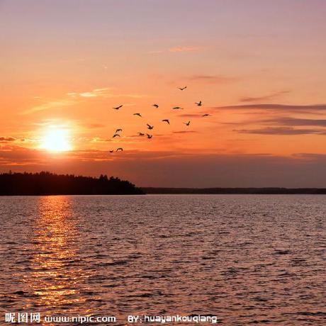 Github Art Om Sup - Abstract Patterns - Beautiful Retina Collection