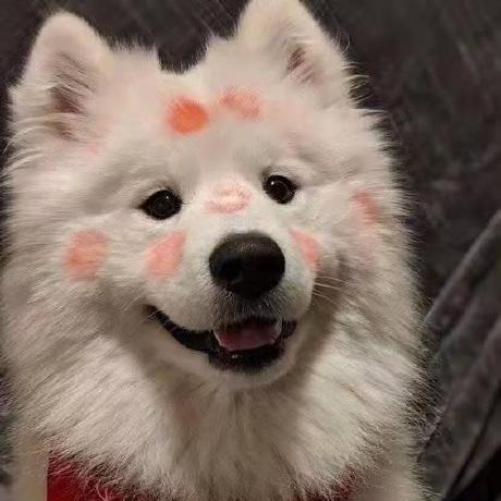 Dxy1307 Dxy Github - Stunning Retina Geometric Illustrations | Free Download