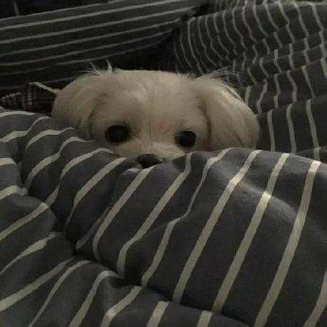 Debugtsang Calvin Tsang Github - 4K Landscape Images for Desktop