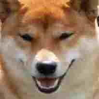 More Than Hentai Flirtatiousfantasyweaver Github - Elegant City Design - Ultra HD